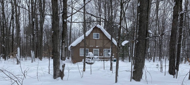 Quiet Romantic Cabin - Pet Friendly in Elmira