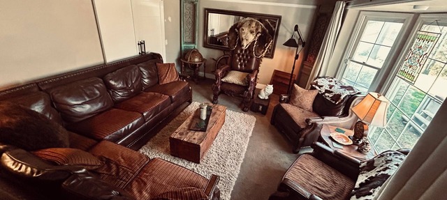 Rustic Luxe 4BR 2.5 Bath 1.5 Acres, in Heart of Brighton – Entire Spacious Home in Brighton