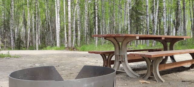 RV Site #2 at Creekside Campground in Willow
