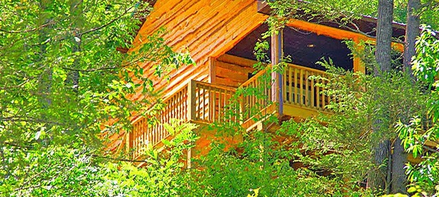 Secluded Mountain Cabin on a Large Estate with Water Fall, Hiking Trails & Creek in Bristol