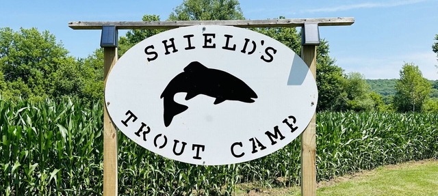 Shields Trout Camp. Private cabin 50 feet from trout stream with river view. in Elmwood