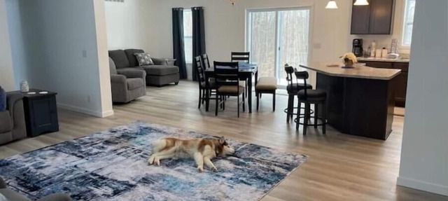 Snowmobile from your door-WIRELESS WIFI- SMART TV TO STREAM- RELAX-DOG FRIENDLY in Gaylord