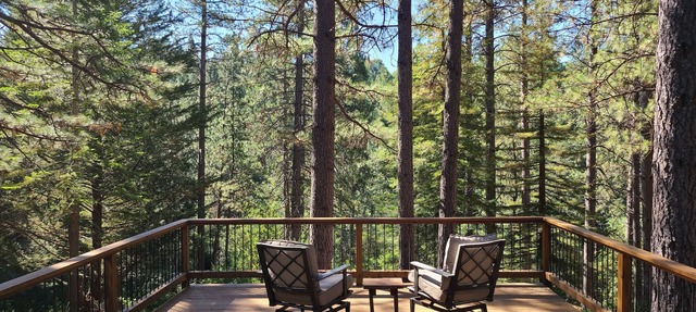 Studio in Forest with Vineyard in Mountain Ranch