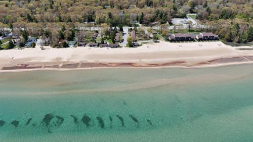 Surfside 13 - Cute Lakefront Condo! in Oscoda