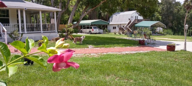 Sweet Quiet upstairs efficiency cottage overlooking a lake! in Eustis