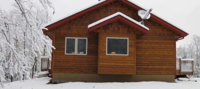The Bear Cabin in Ironwood