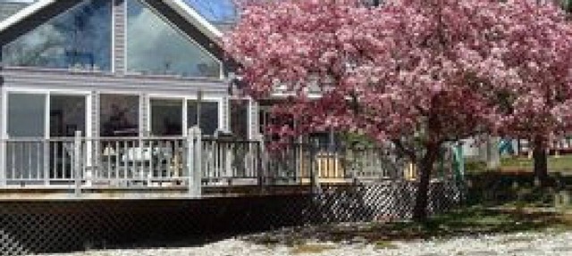 The Gray Escape Steps away from Lake Margrethe in Grayling