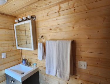 The Rocky Mountain Cabin in Apple Valley