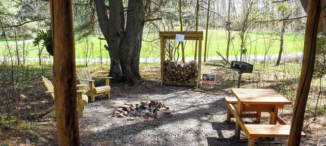 Tiny Bear Log Cabin near Cook Forest State Park in Leeper