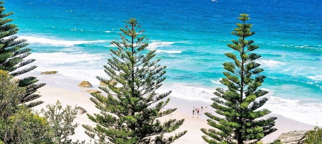 Tranquil Seaside Escape Kiama Downs NSW in Kiama Downs