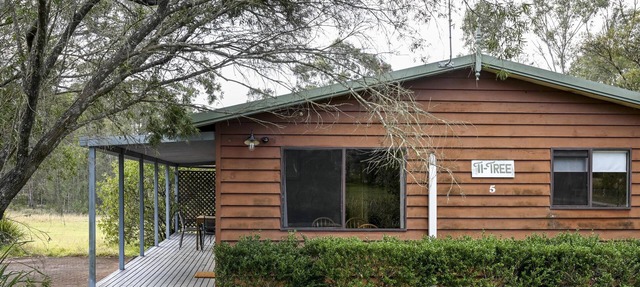 Twin Tree Cabin 5 - 2 bedroom with 2 x queen beds in Pokolbin