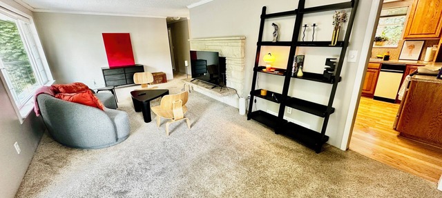 Unit surrounded by trees Washer and Dryer + Pet friendly! in Federal Way