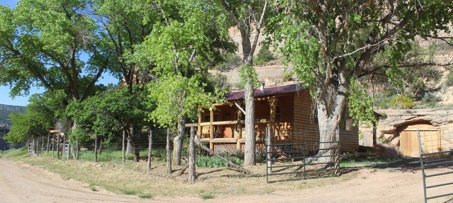 Vineyard views from our cozy Montezuma Cabin in Monticello