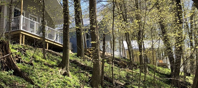 Winding Creek Cabins in Marcellus
