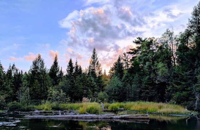 Finley's Riverside Cabins | Cabin # C in Grayling