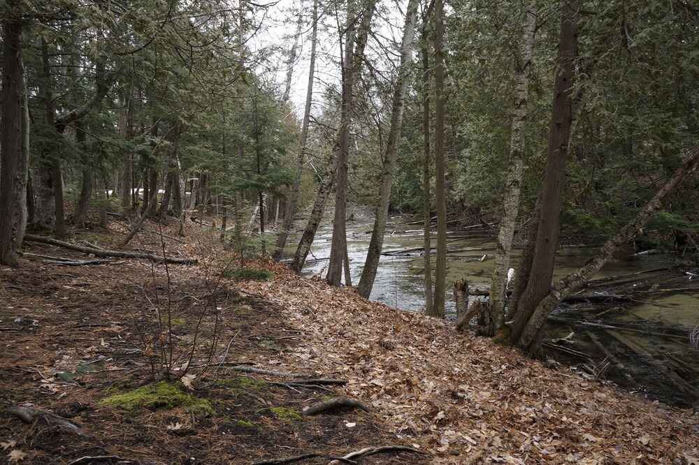 Photo of Outdoor in Maple City