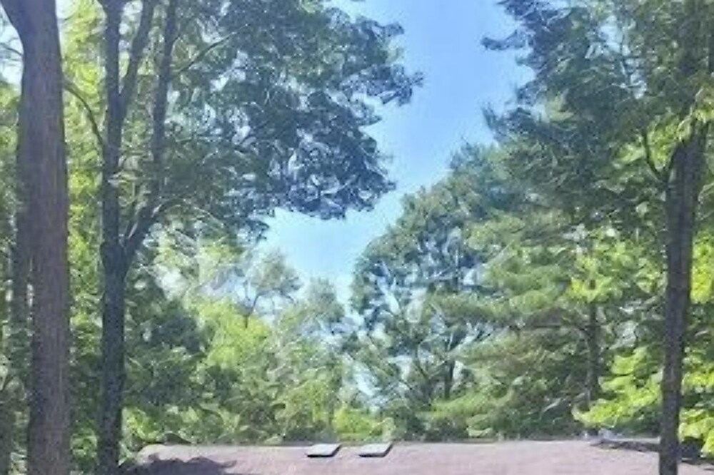 Photo of Outdoor in Merrillan
