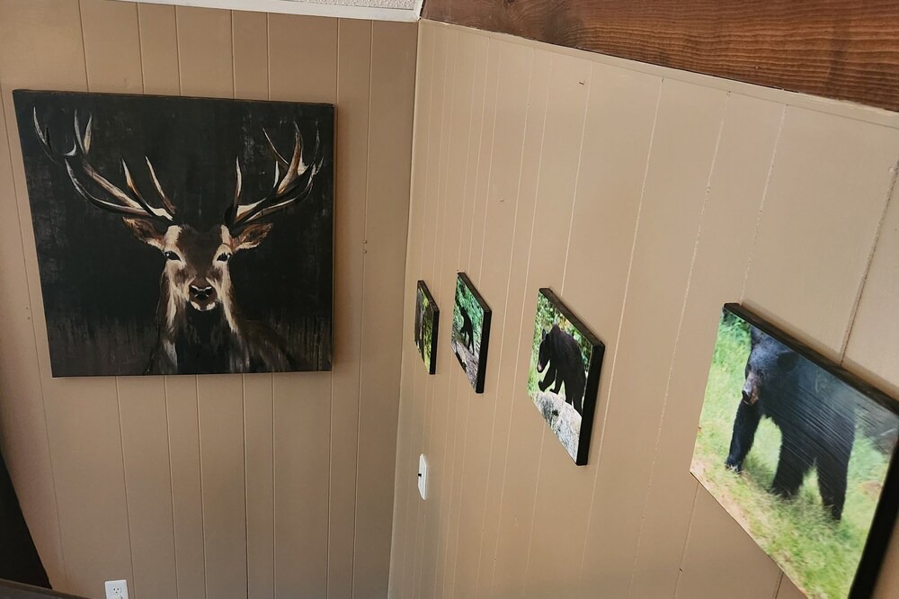 Photo of Others in Kalkaska