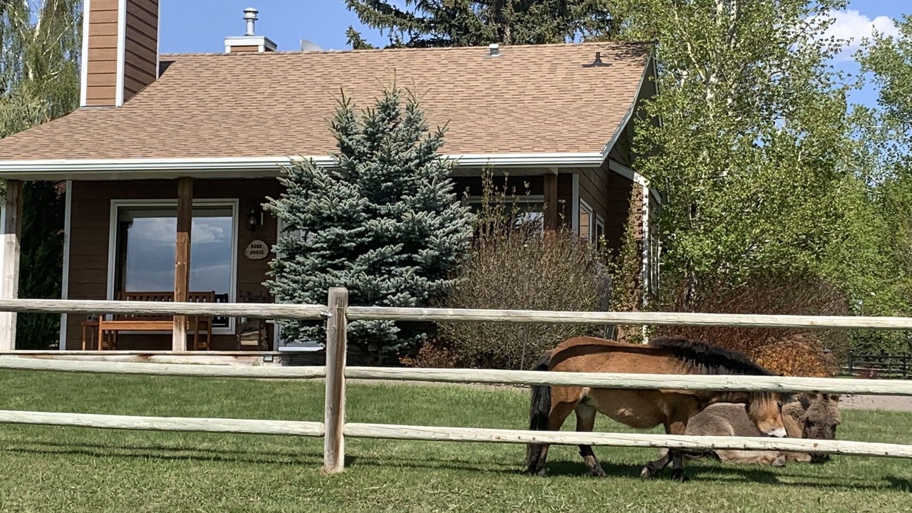 Photo of Outdoor in Strathmore