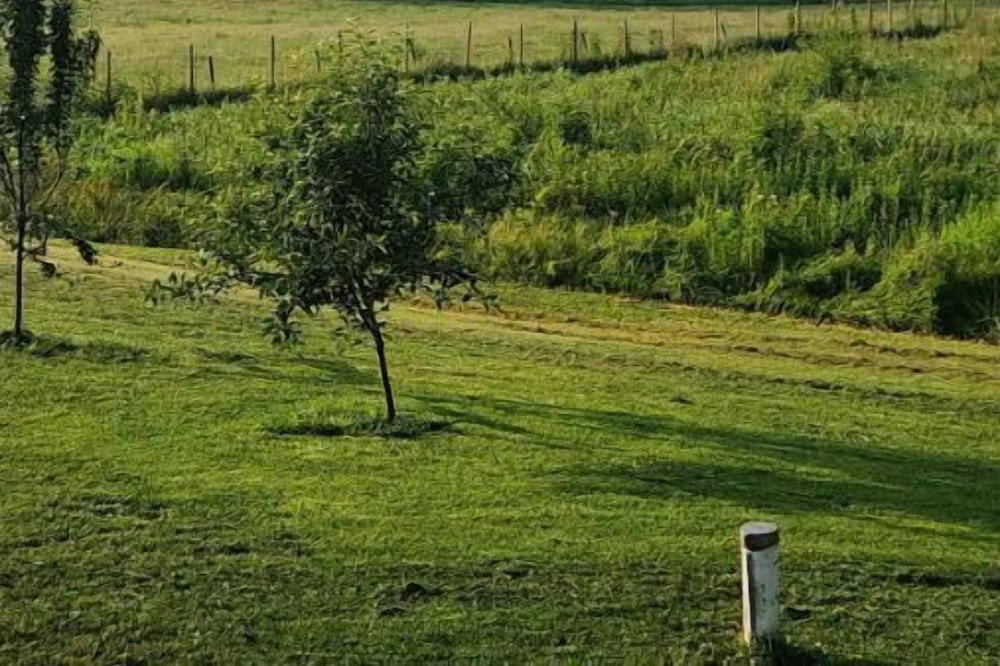 Photo of Outdoor in Metamora