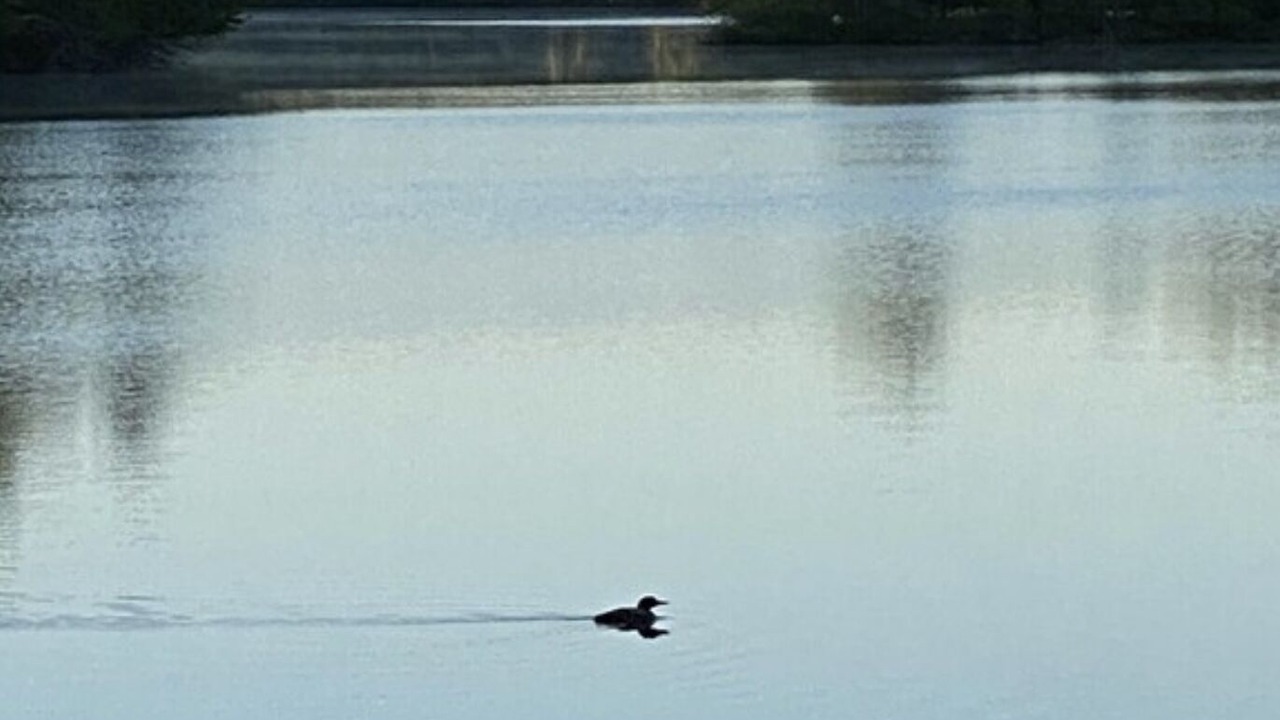 Photo of Outdoor in Traverse City