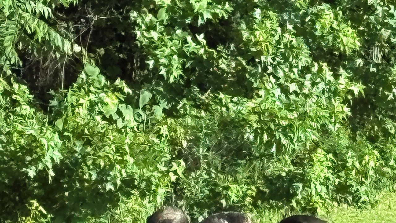 Photo of Others in Saint Joe