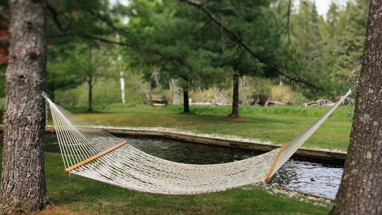 Photo of Outdoor in Grayling