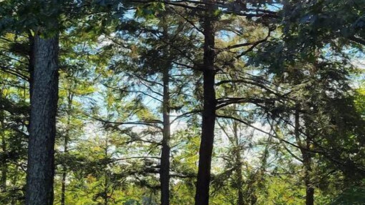 Photo of Others in Lakewood