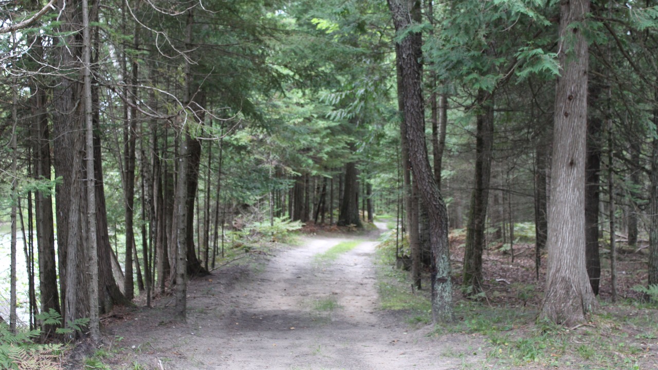 Photo of Outdoor in Roscommon County