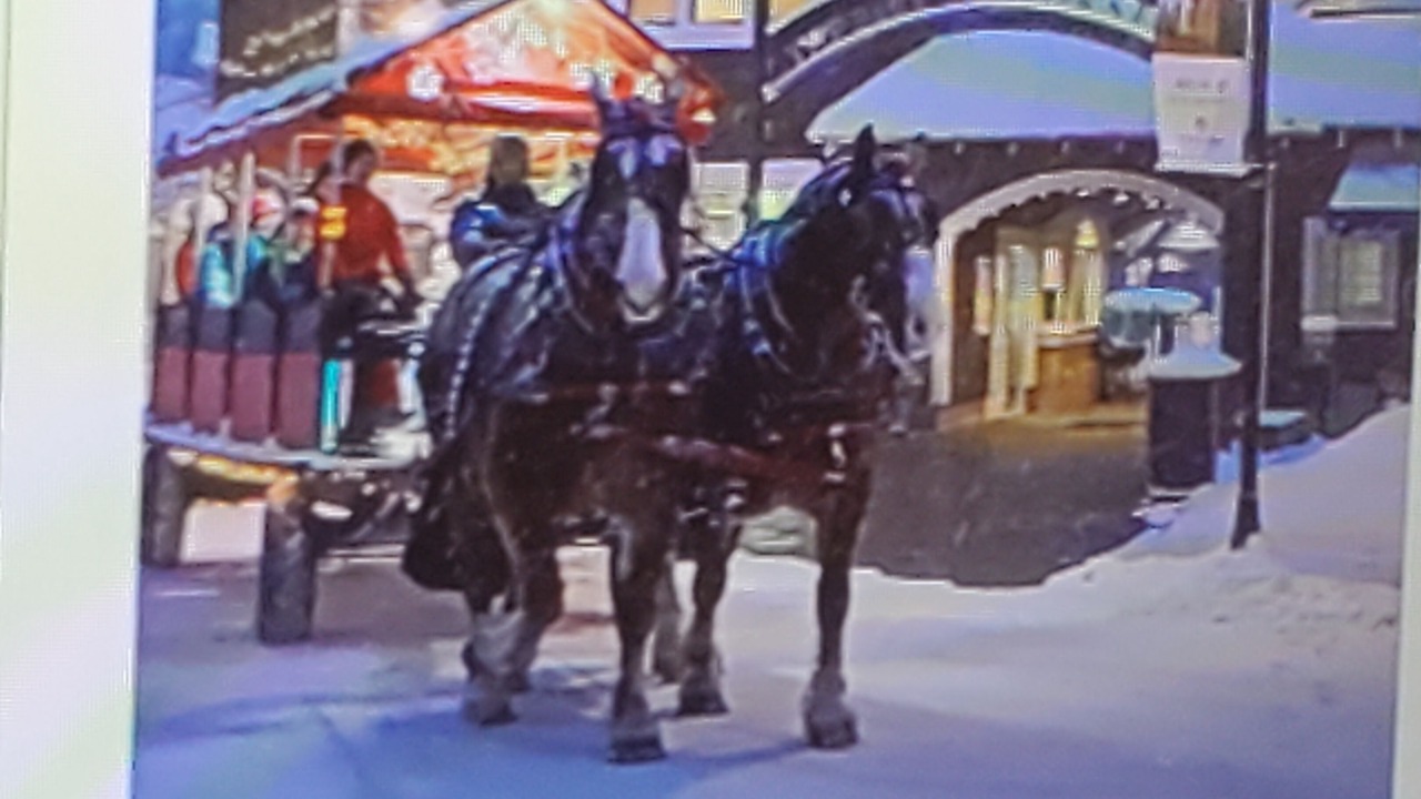 Photo of Others in Thompsonville