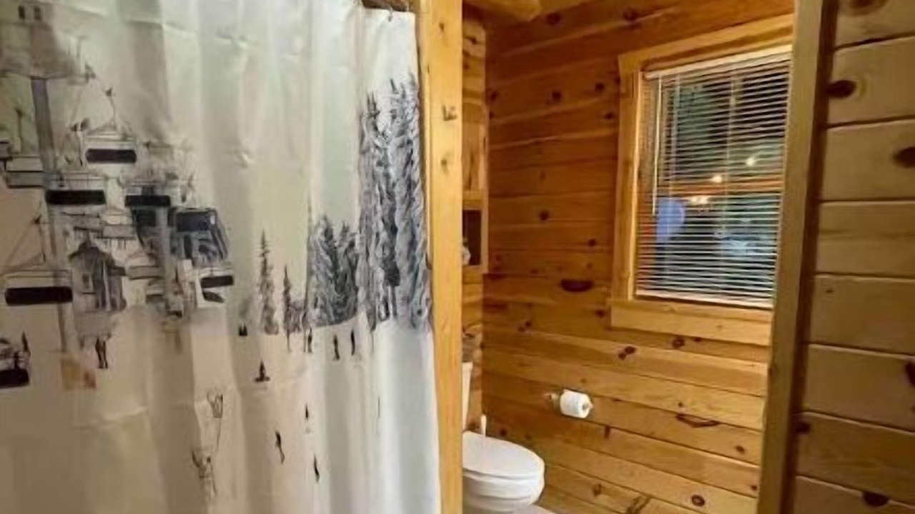 Photo of Bathroom in Mancelona
