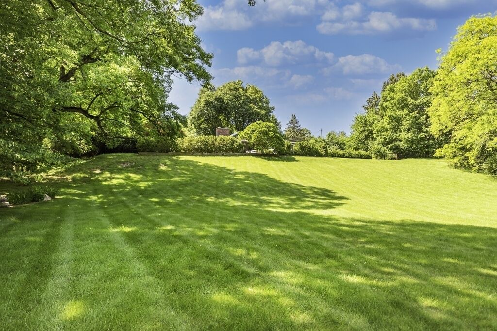 Photo of Outdoor in Allen