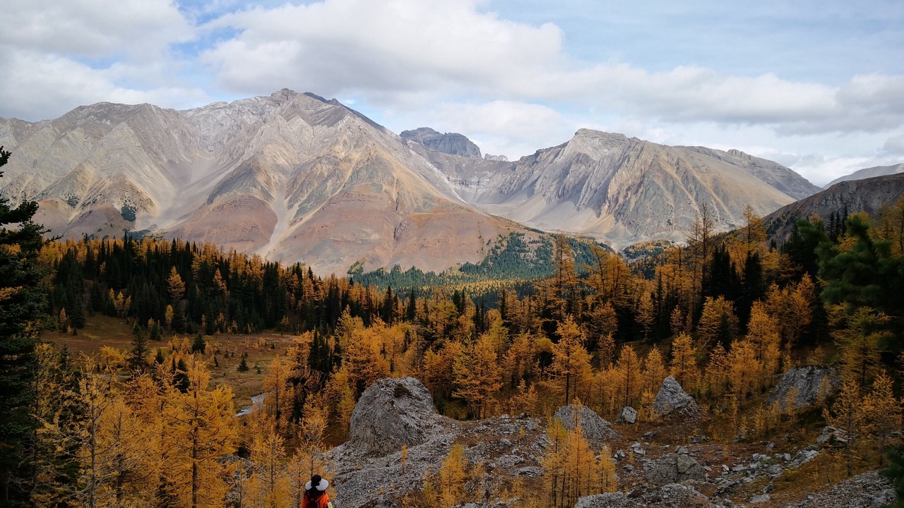 Photo of Others in Canmore