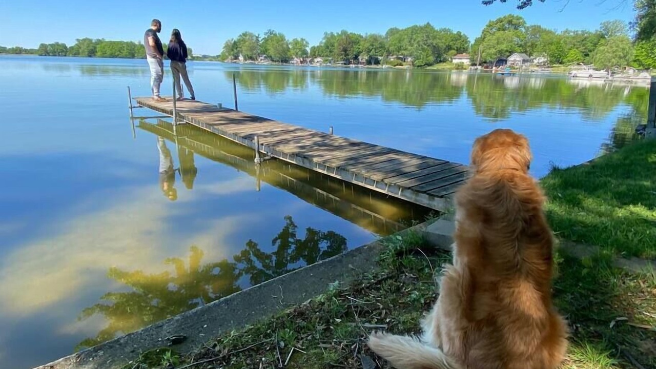 Photo of Others in Fulton