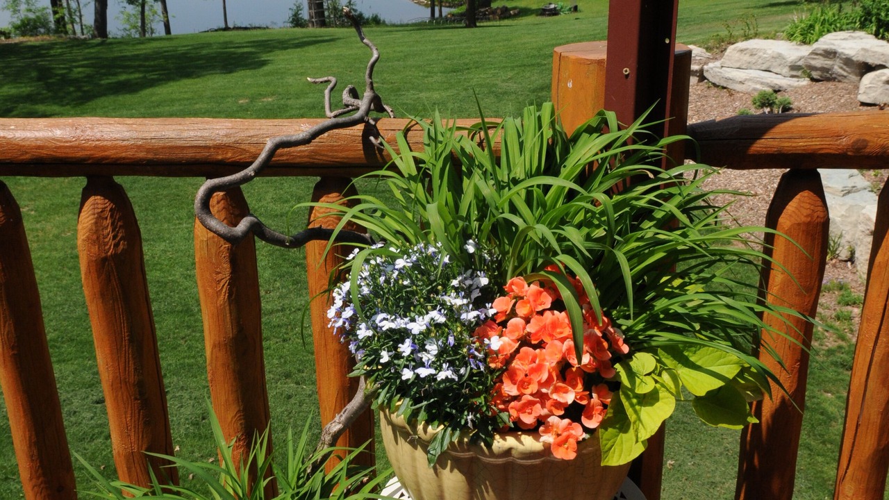 Photo of Outdoor in Forest Junction