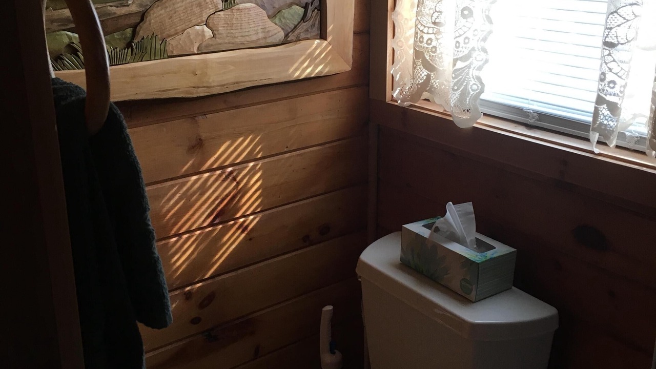 Photo of Bathroom in Mancelona