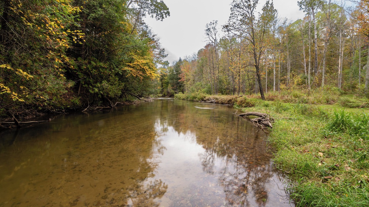 Photo of Others in Thompsonville