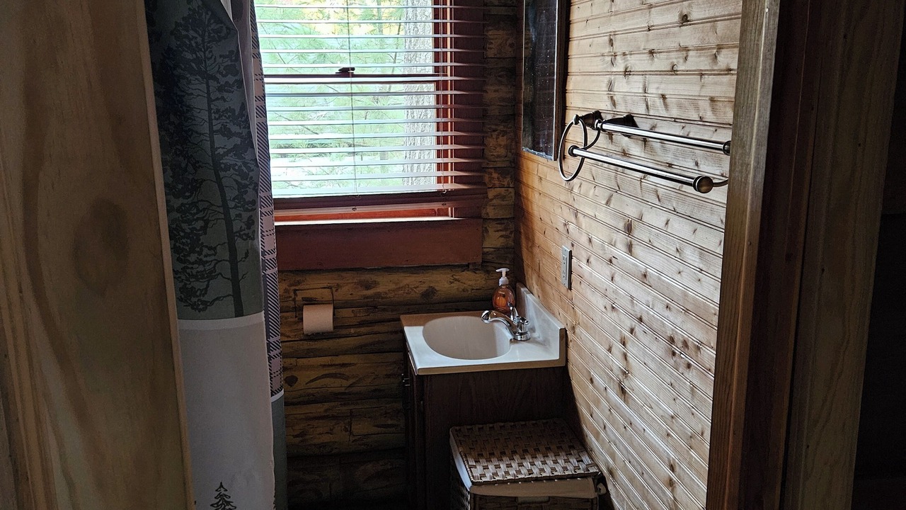 Photo of Bathroom in Houghton Lake
