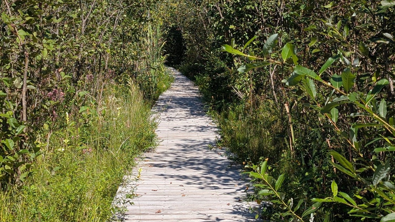 Photo of Others in Lake Leelanau