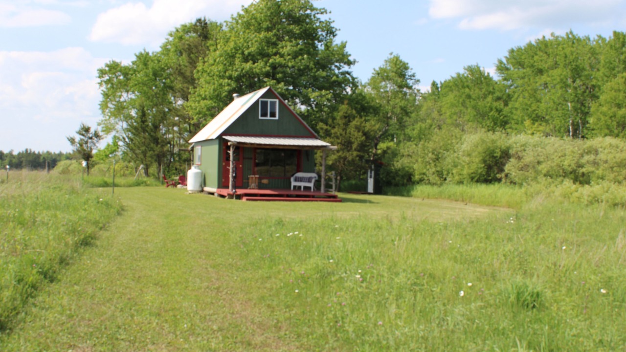 Photo of Outdoor in Maple Valley