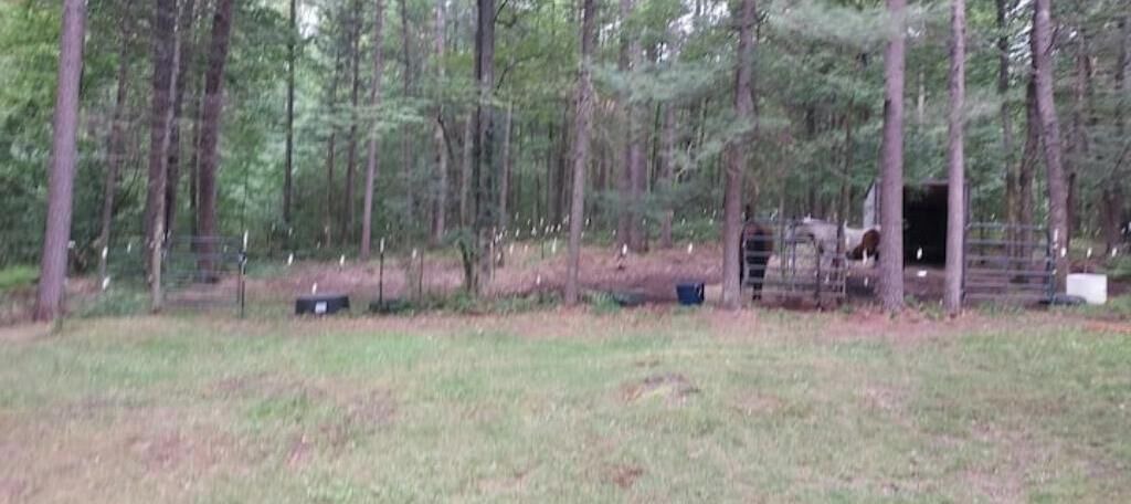 Photo of Outdoor in Mio
