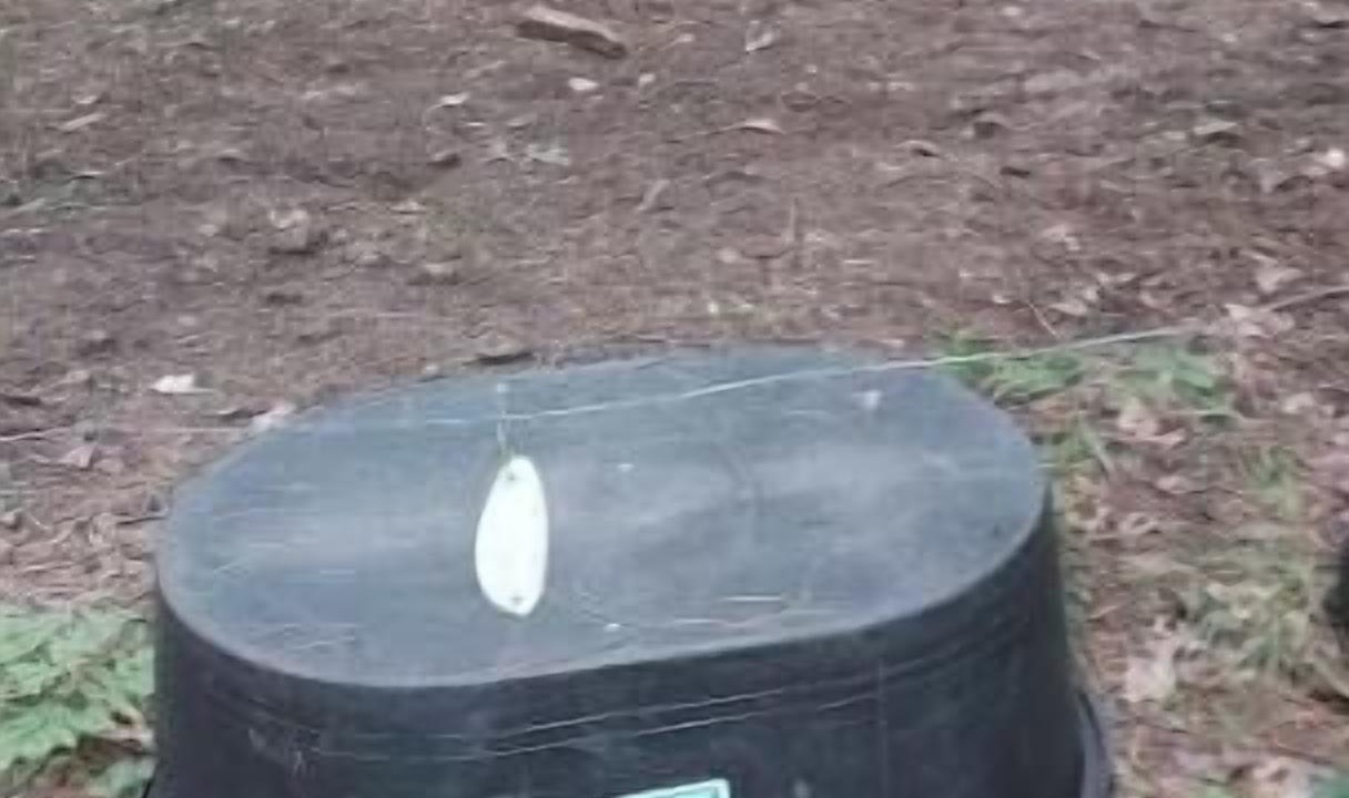 Photo of Outdoor in Mio