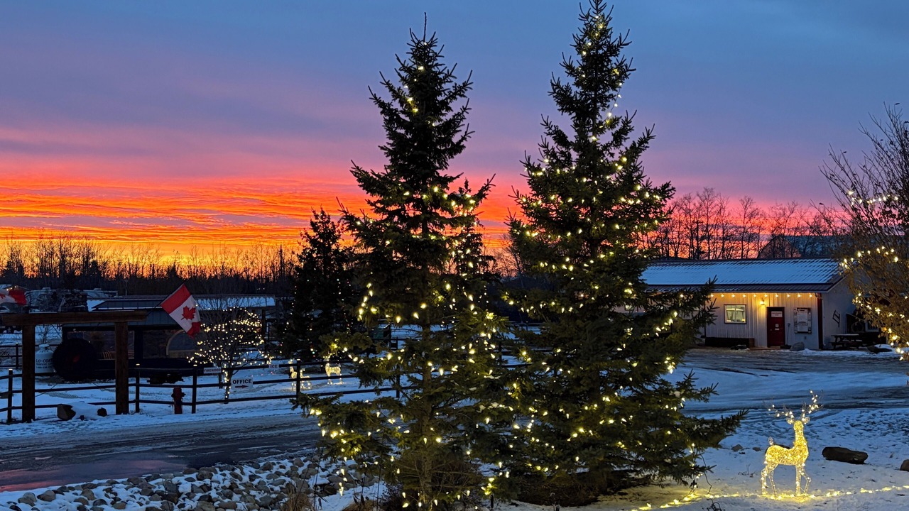 Photo of Outdoor in Stettler