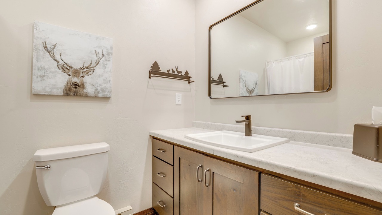 Photo of Bathroom in Waumandee