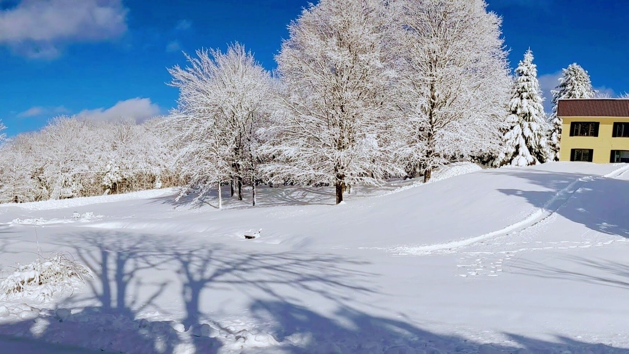 Photo of Outdoor in Sutton