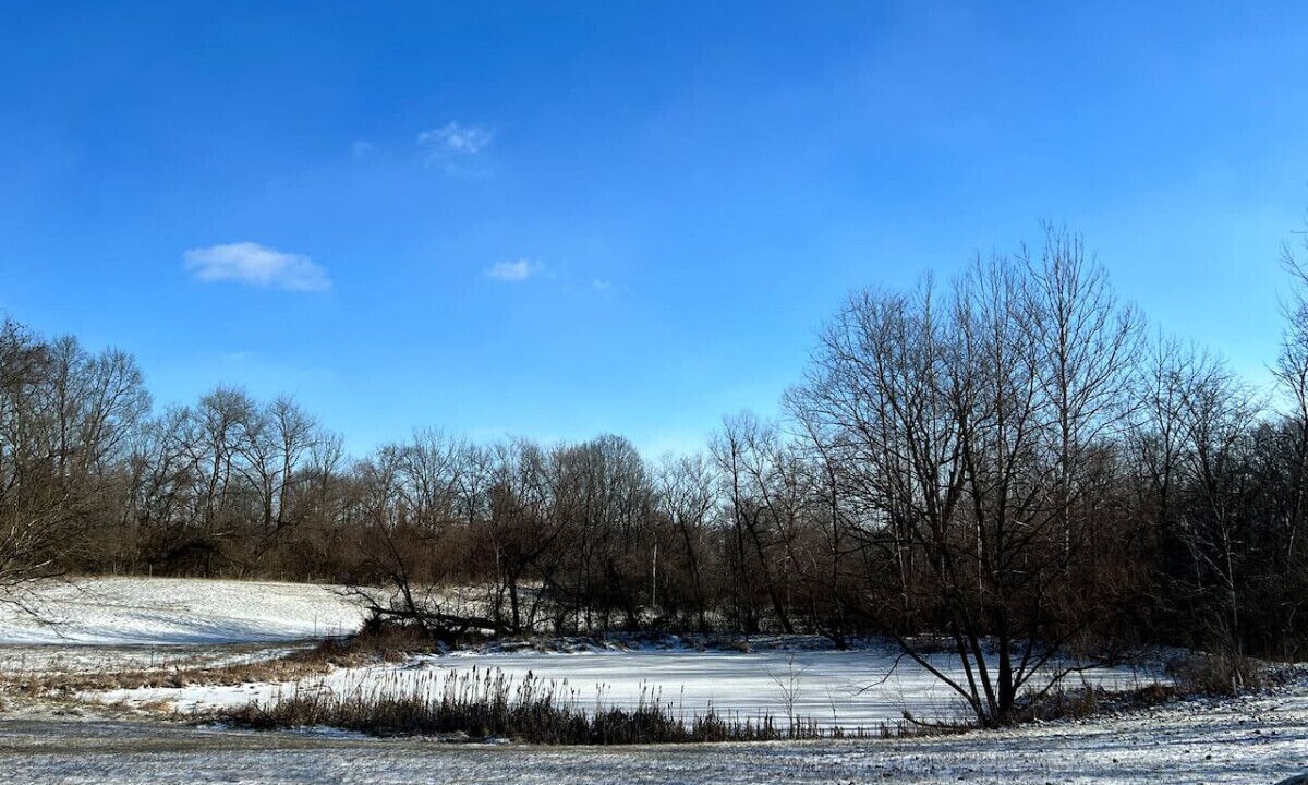 Photo of Others in West Newton