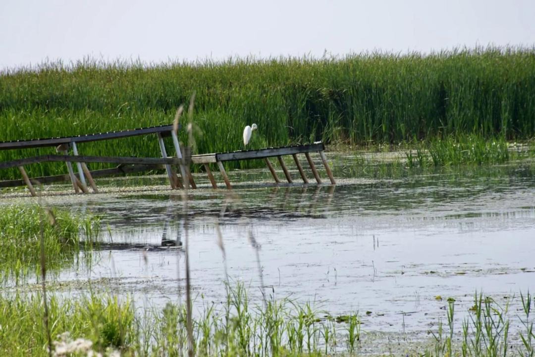 Photo of Others in Au Gres
