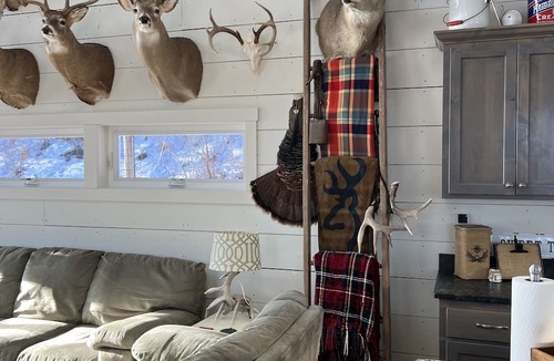 Caledonia Cabin | Perfect for groups of family and friends! 1-6 Bedrooms only rent what you need!
